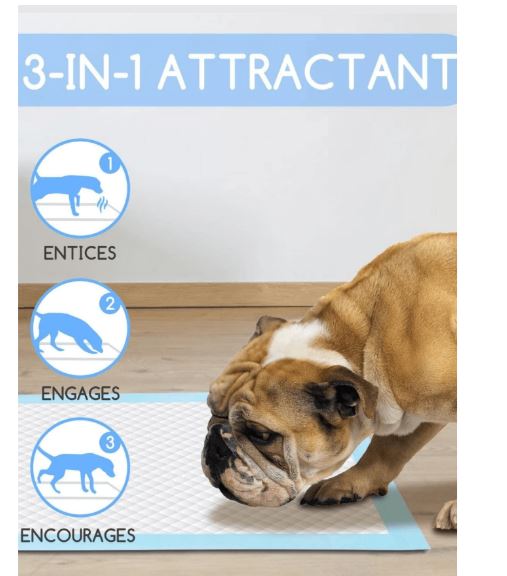 10 Pièces Tampons Super Absorbants Pour Les Chiens