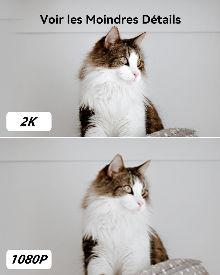 IMOU - Caméra de Surveillance WiFi Intérieure Connectée à 360° Smartphone