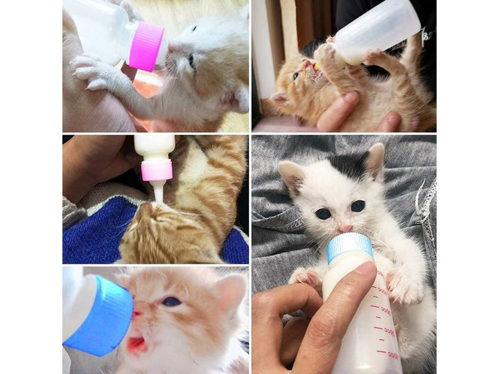 Lot de 14 pcs - Ensemble de Biberons pour petits animaux domestiques, chats, chiens.