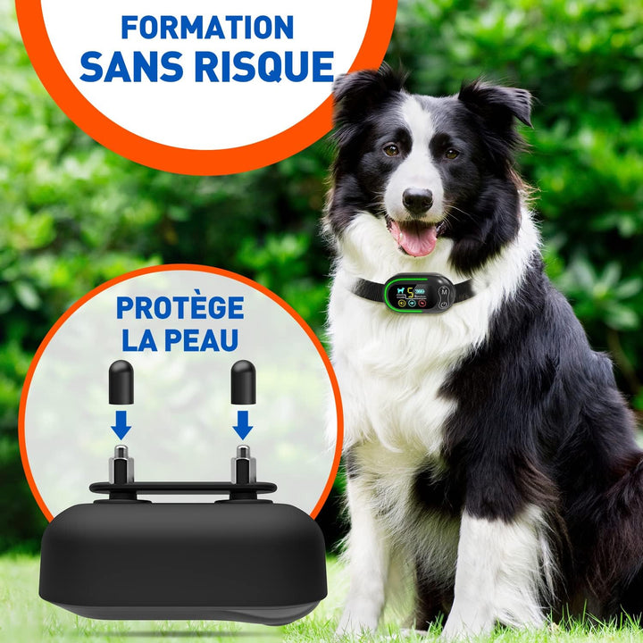 Collier Anti-Aboiement Chien – Rechargeable avec 4 Modes de Dressage