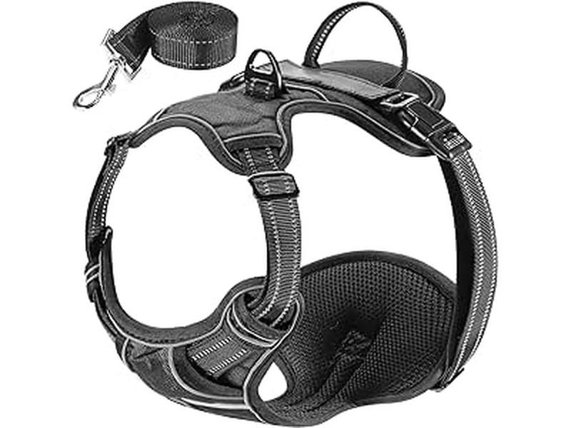 Harnais de sécurité confortable et réfléchissant pour chiens