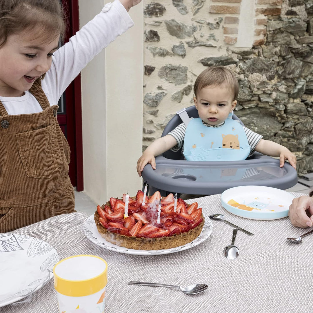 Bébéconfort Meely - Chaise haute évolutive 2-en-1 – de 6 mois à 3 ans