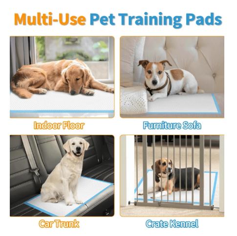 10 Pièces Tampons Super Absorbants Pour Les Chiens