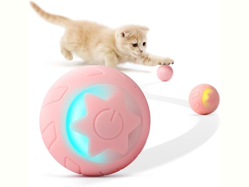 BOYTION - Boule interactive de jeu pour Chat Dakar Dialy