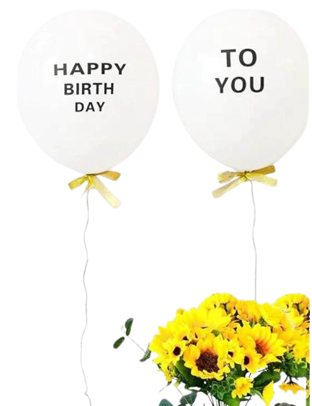 Ballons en latex imprimés "Happy Birthday to You" – Lot de 10 pièces Dialy-Dakar