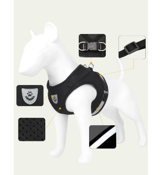 Ensemble Harnais et laisse pour animaux