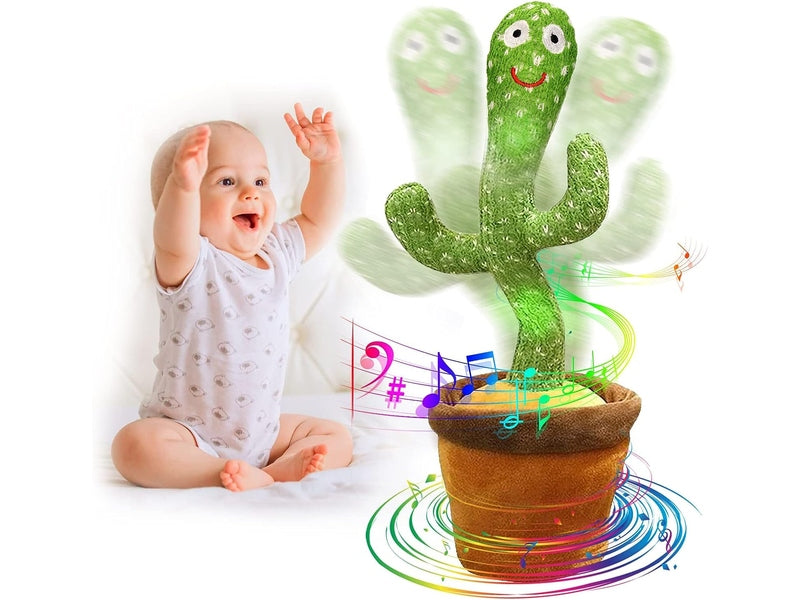 Cactus Dansant, disponible à Dakar sur Dialy en 60min !