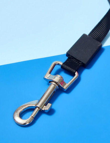 Laisse Pour Animaux De Compagnie