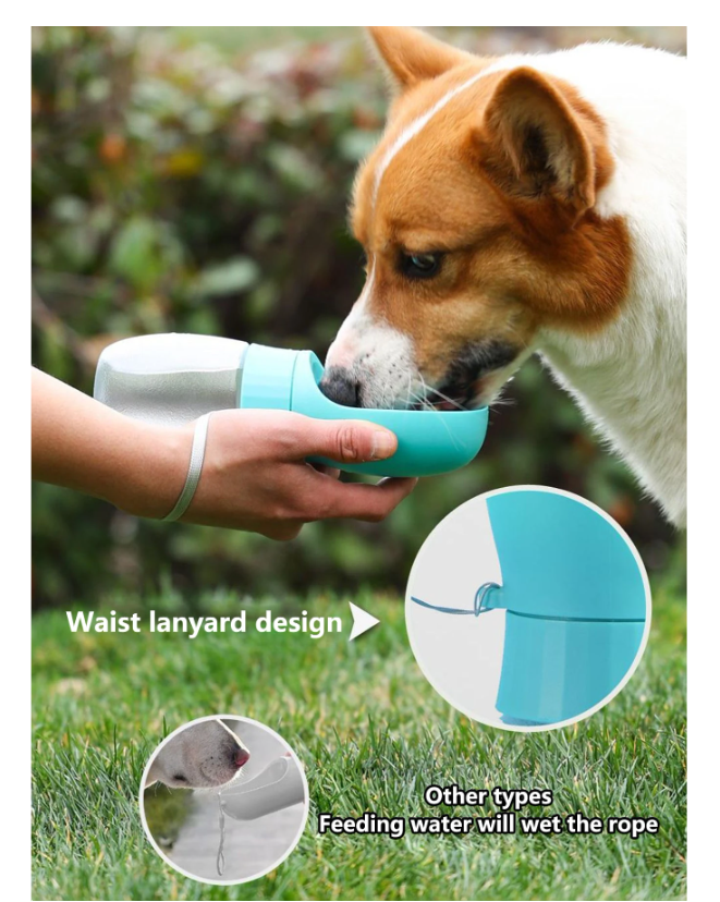 Bouteille d'eau portable pour chien, bouteille d'eau pour animaux de compagnie étanche avec distributeur