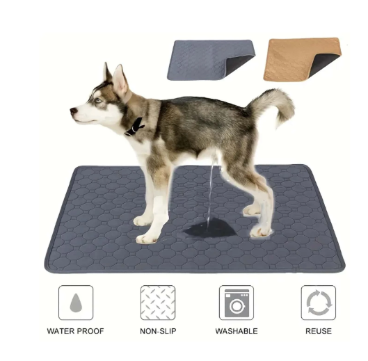 Tapis absorbant lavable pour de chien, tapis de sol réutilisables pour animaux de compagnie