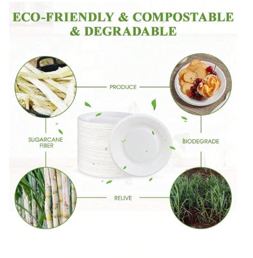 Assiettes en papier compostables, assiettes à repas en papier de 6 pouces (environ 15,5 cm),100 pièces
