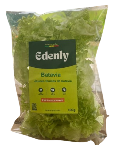 EDENLY - Batavia - 150G Dialy - Dakar
