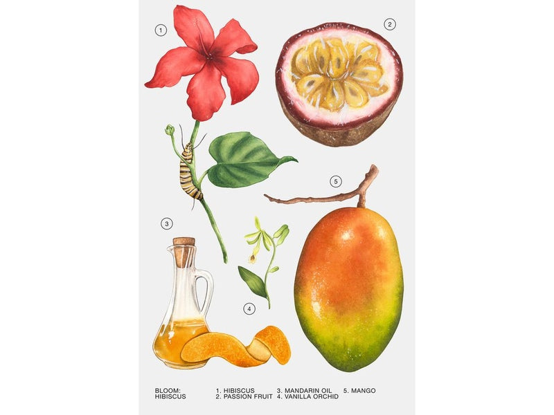 Parfum ZARA - Eau de parfum Hibiscus, 90 ml