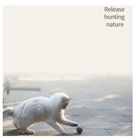 Boules de Sisal Naturel pour Chat – Lot de 2 Jouets de Poursuite