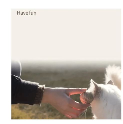 Boules de Sisal Naturel pour Chat – Lot de 2 Jouets de Poursuite