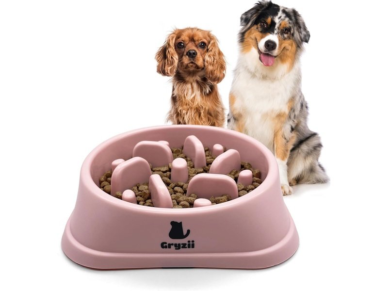 Gamelle Anti Glouton pour Chats et Chiens - Rose avec Picots Dakar Dialy