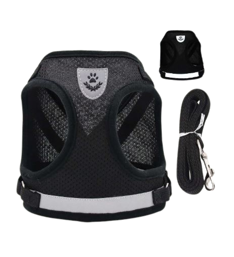 Ensemble Harnais et laisse pour animaux