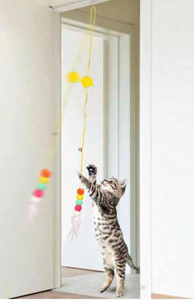 Baguette Teaser pour Chat – Avec Plumes & Clochette Amusante