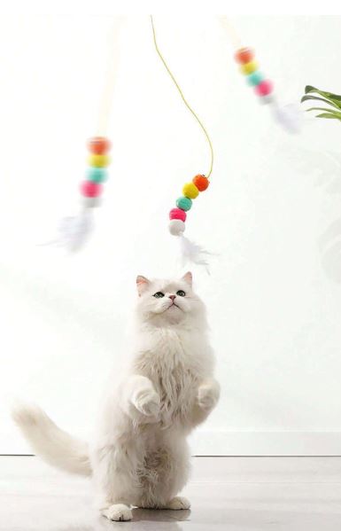 Baguette Teaser pour Chat – Avec Plumes & Clochette Amusante