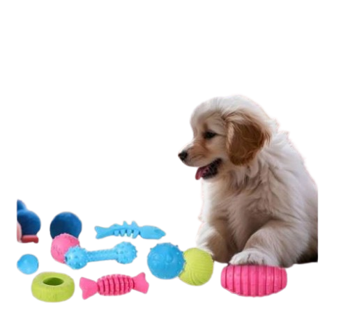 Lot de 6 pièces de jouets de mâchage pour animaux de compagnie en TPR Dakar Dialy