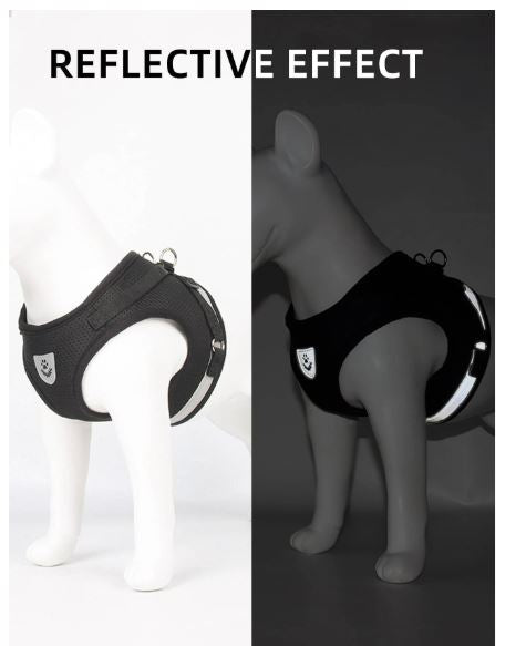 Ensemble Harnais et laisse pour animaux