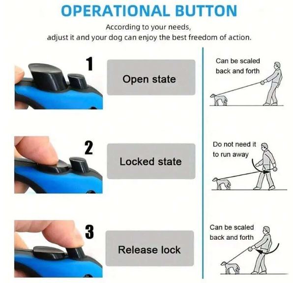 Laisse Pour Animaux De Compagnie