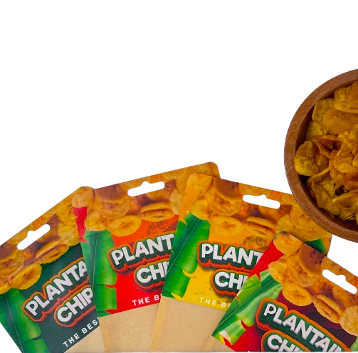 PLANTAIN CHIPS - Chips de bananes Plantain Salé - 120g Dakar Dialy