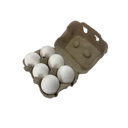 SEDIMA - Oeufs blancs barquette  x6 pcs