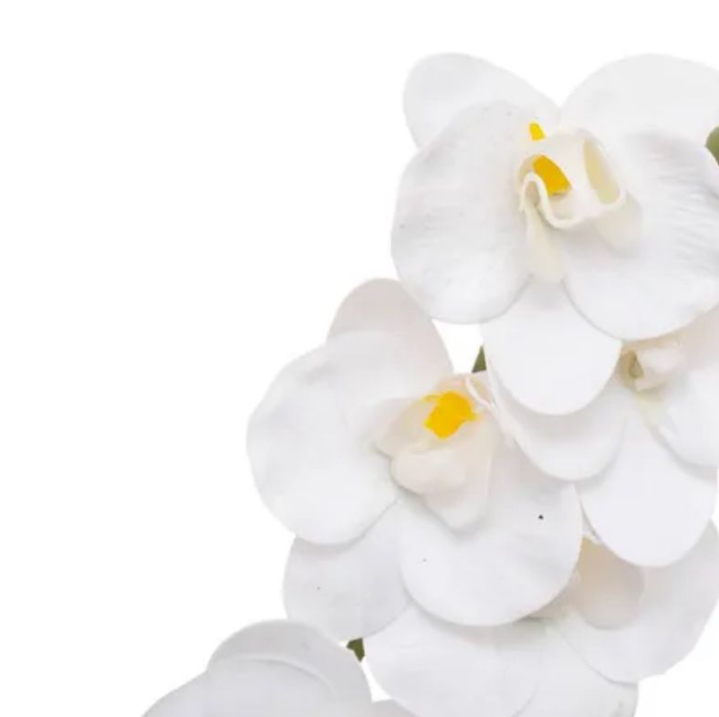 Ensemble de 20 PCS Orchidées Artificielles
