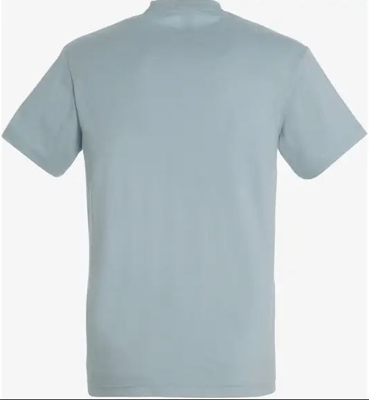 IMPERIAL – T-shirt homme 100% coton - Bleu glacier