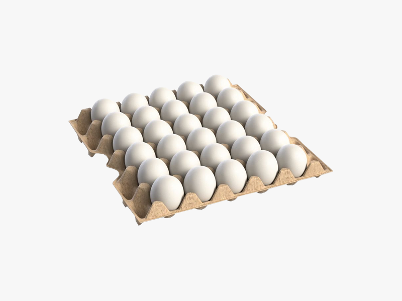 SEDIMA - Plateau oeufs X30