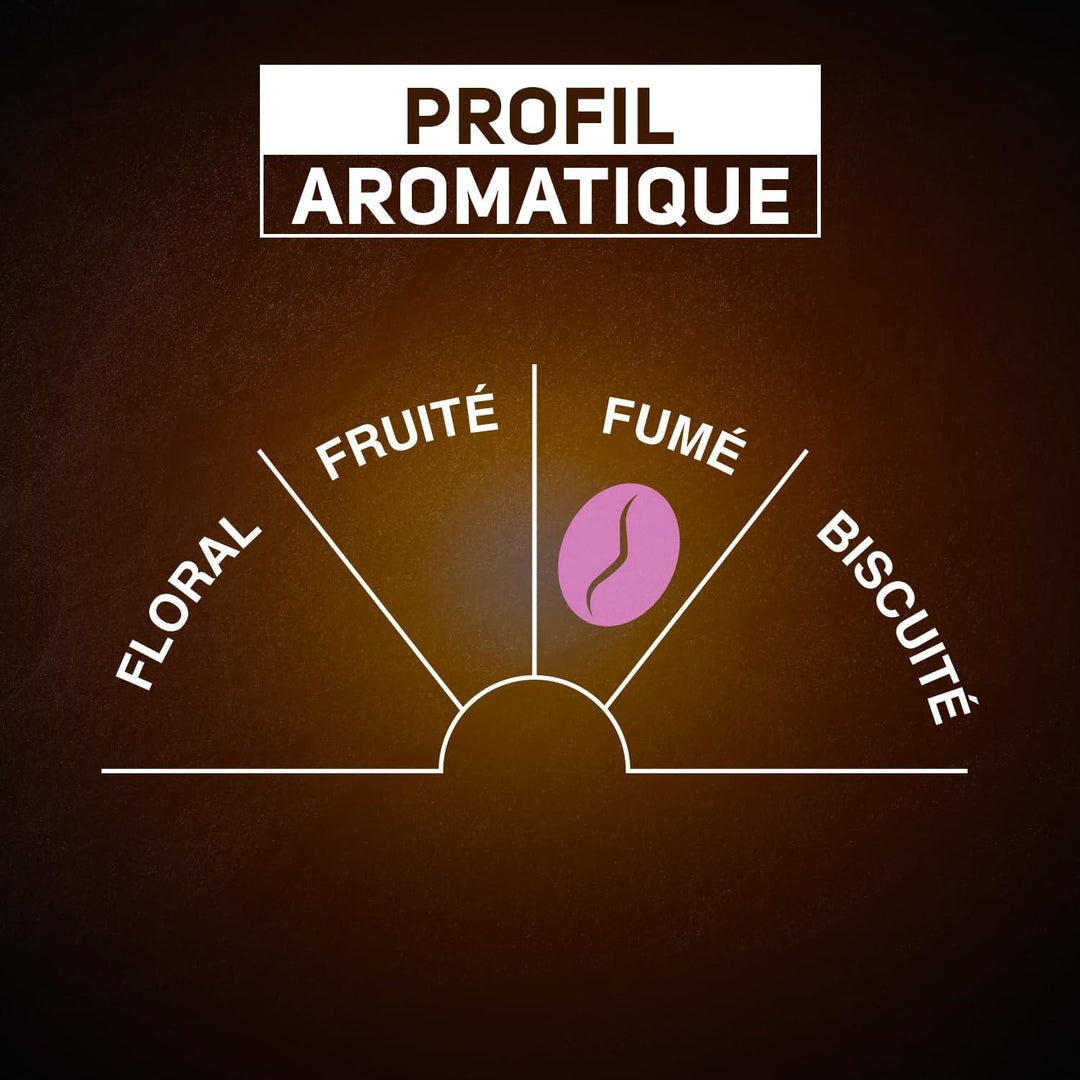 DLC Proche - CARTE NOIRE - Corsé Intensite - N7 (x36) - 250 g