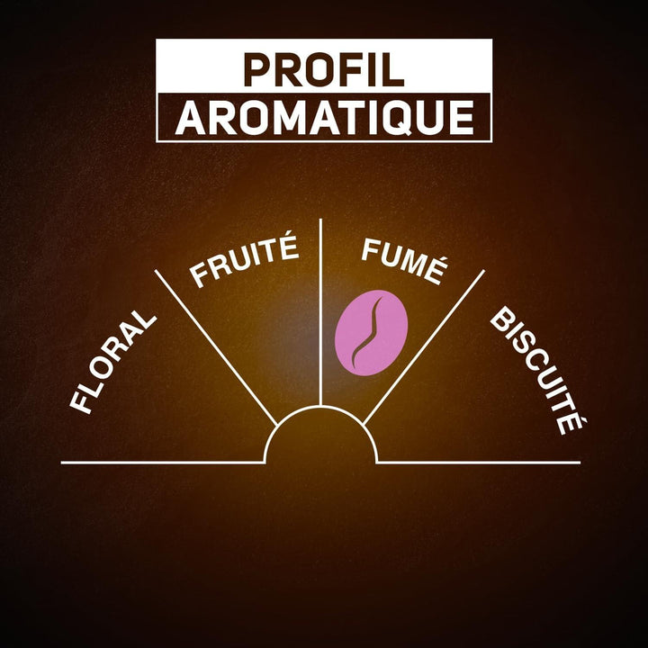 DLC Proche - CARTE NOIRE - Corsé Intensite - N7 (x36) - 250 g