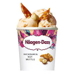 HAAGEN-DAZS -macadamia nut brittle - 95ml