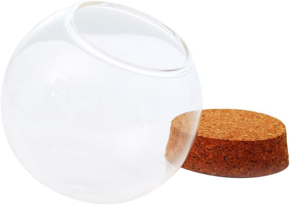 Cloche en Verre Globe Dôme Terrarium Conteneur Décor avec Base en Bois - Clair, 15cm