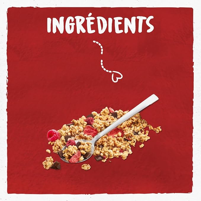 Céréales Croustillant Fruit Rouge Choco Bio 450g - Bjorg