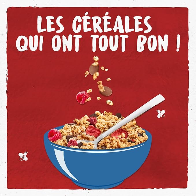 Céréales Croustillant Fruit Rouge Choco Bio 450g - Bjorg