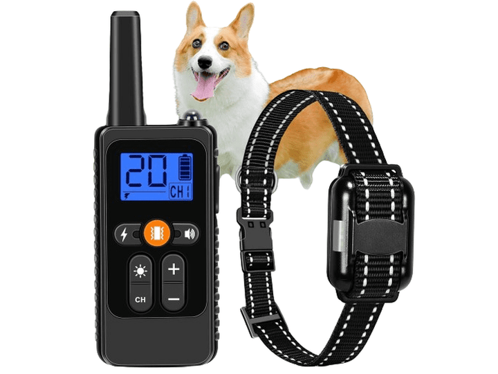 Collier de Dressage pour Chien ANYKUU - Solution Efficace pour l'Entraînement Canin
