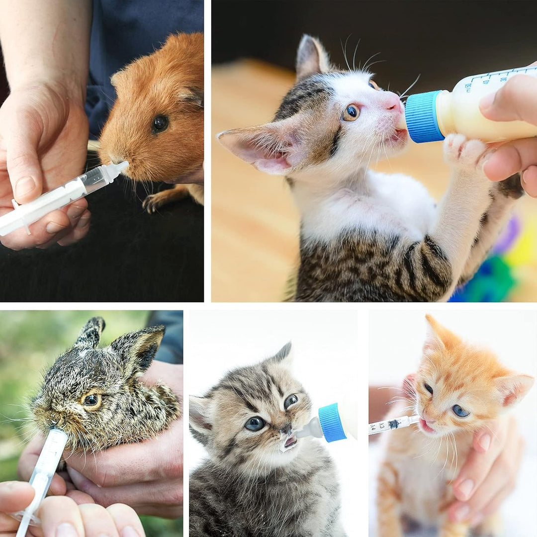 DONQL – Kit Biberons Chiot & Chaton avec 8 Tétines 60 ml (x2)