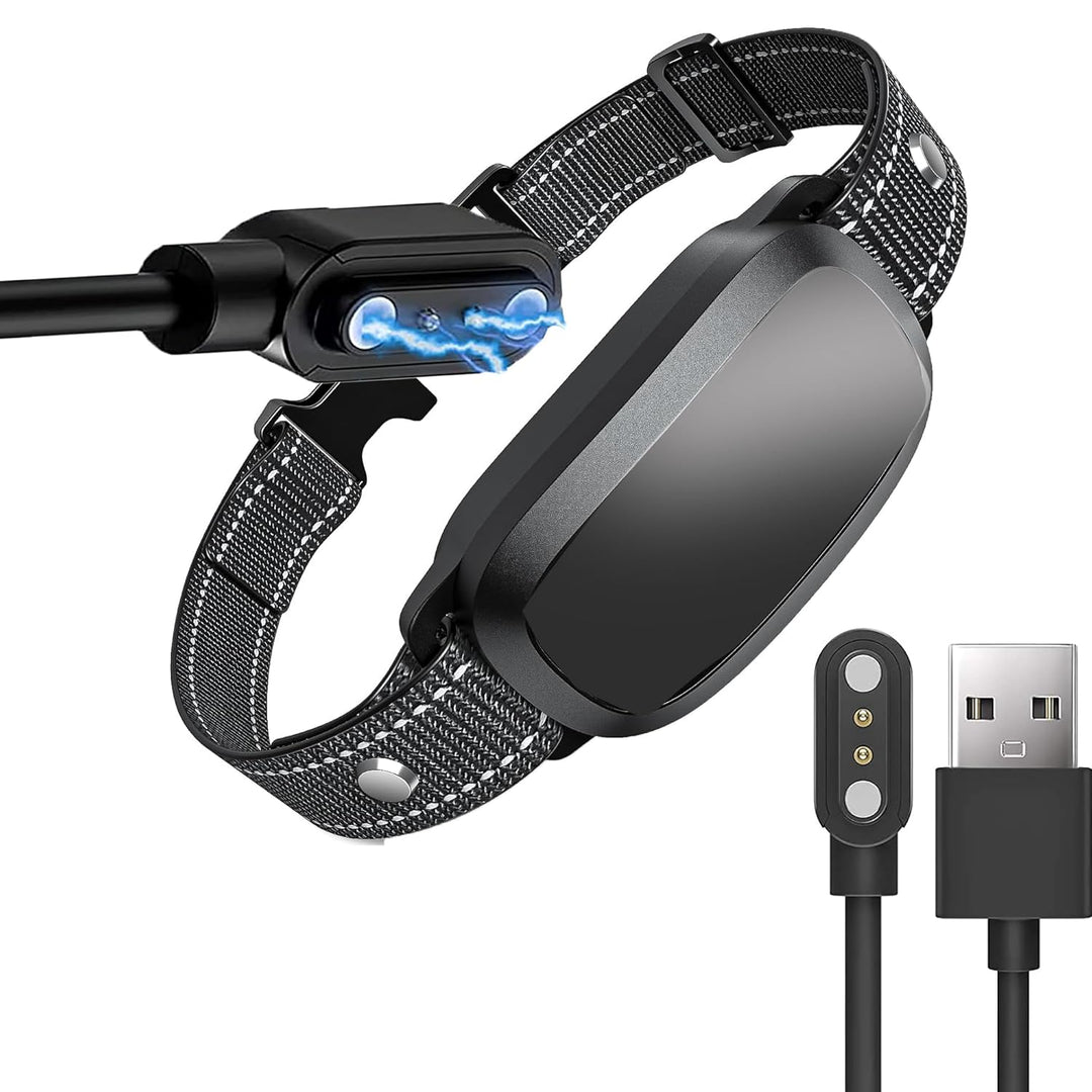 Câble de charge USB magnétique à 2 broches,  compatible avec collier anti-aboiement