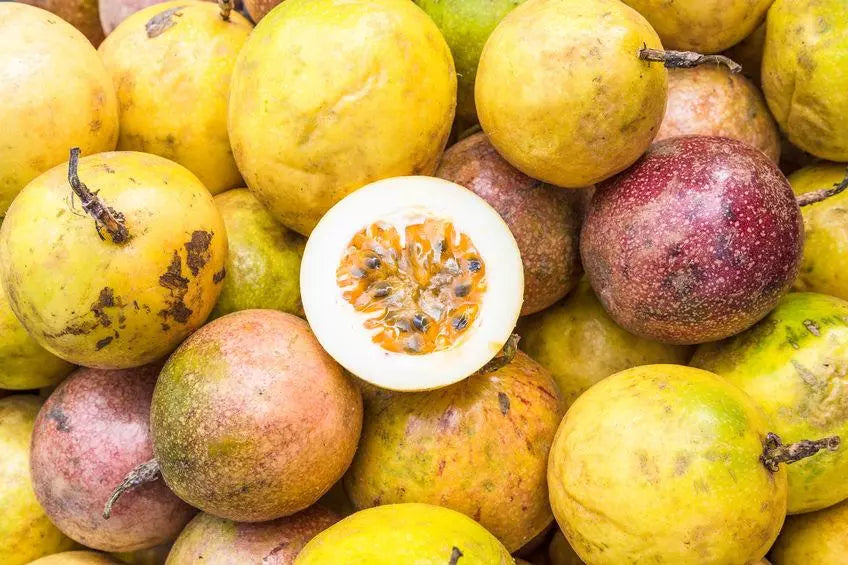 Fruit de la Passion Jaune – Mûr et Bien Croquant
