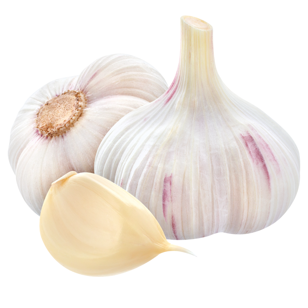 Ail Blanc – Puissance Aromatique et Conservation Maximale