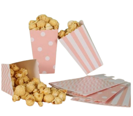 Boîtes à Popcorn Roses 24 pcs – Fêtes & Événements Dialy - Dakar 