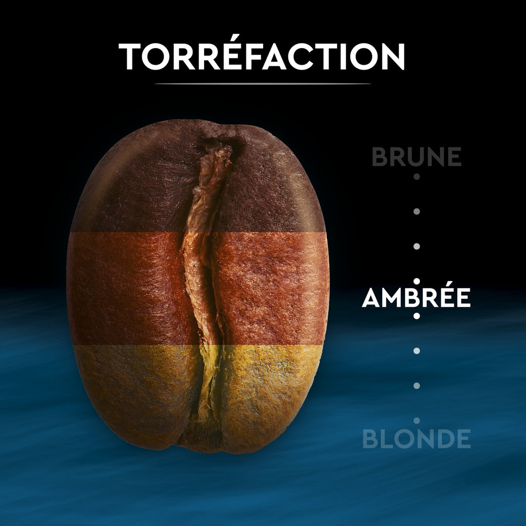 CARTE NOIRE Decafeine (2 x 250g)