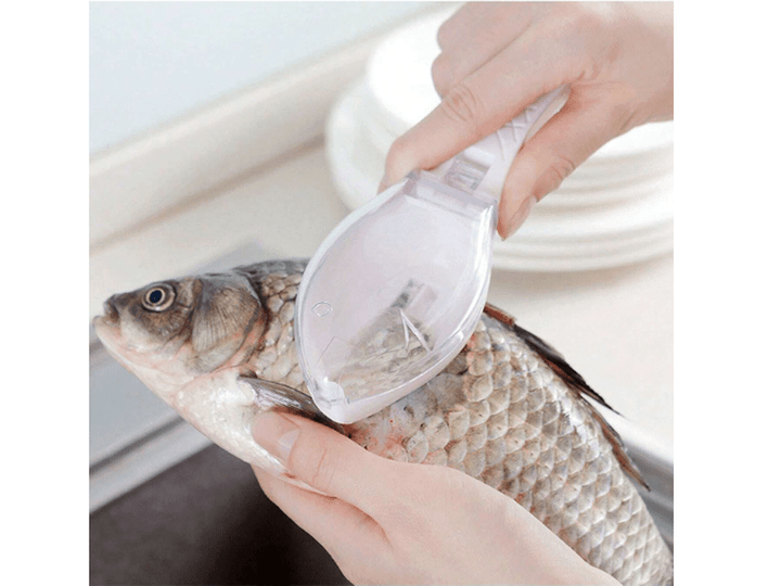 Mini écailleur de poisson – Outil de cuisine