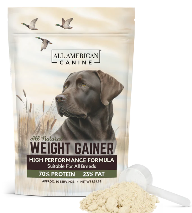 Complément alimentaire pour prise de poids pour chien