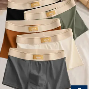 Lot de 5 Boxers pour Hommes