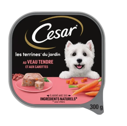 CESAR,Pâtée Pour Chien Adulte Terrine Veau Carottes 300g