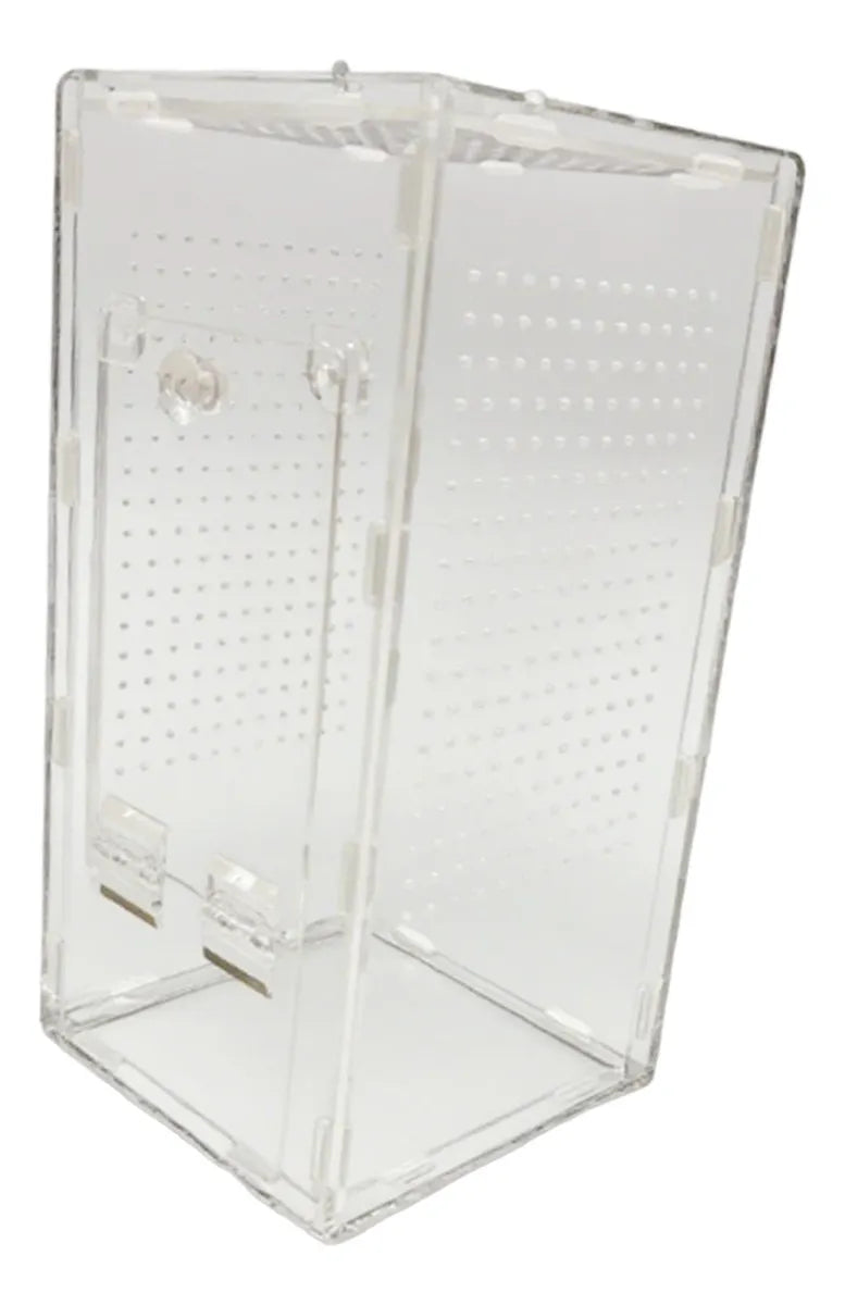 TERRARIUM – Cage en Acrylique pour Mante Religieuse
