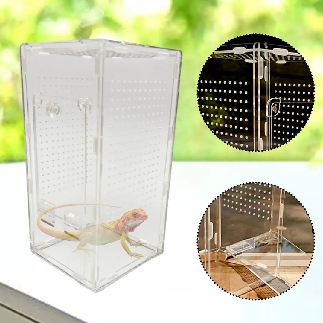 TERRARIUM – Cage en Acrylique pour Mante Religieuse